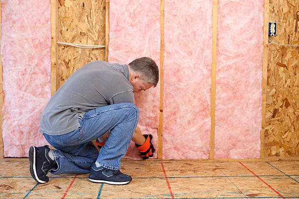 Best Insulation Installation Services in Steiner Ranch, TX